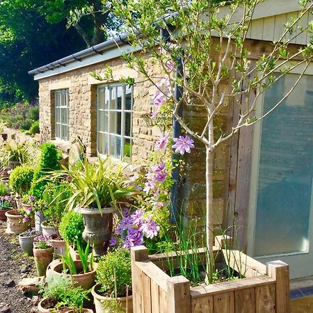 Lavender Cottage Γκλόστερ Εξωτερικό φωτογραφία