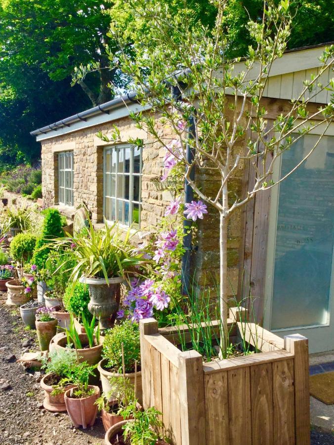 Lavender Cottage Γκλόστερ Εξωτερικό φωτογραφία