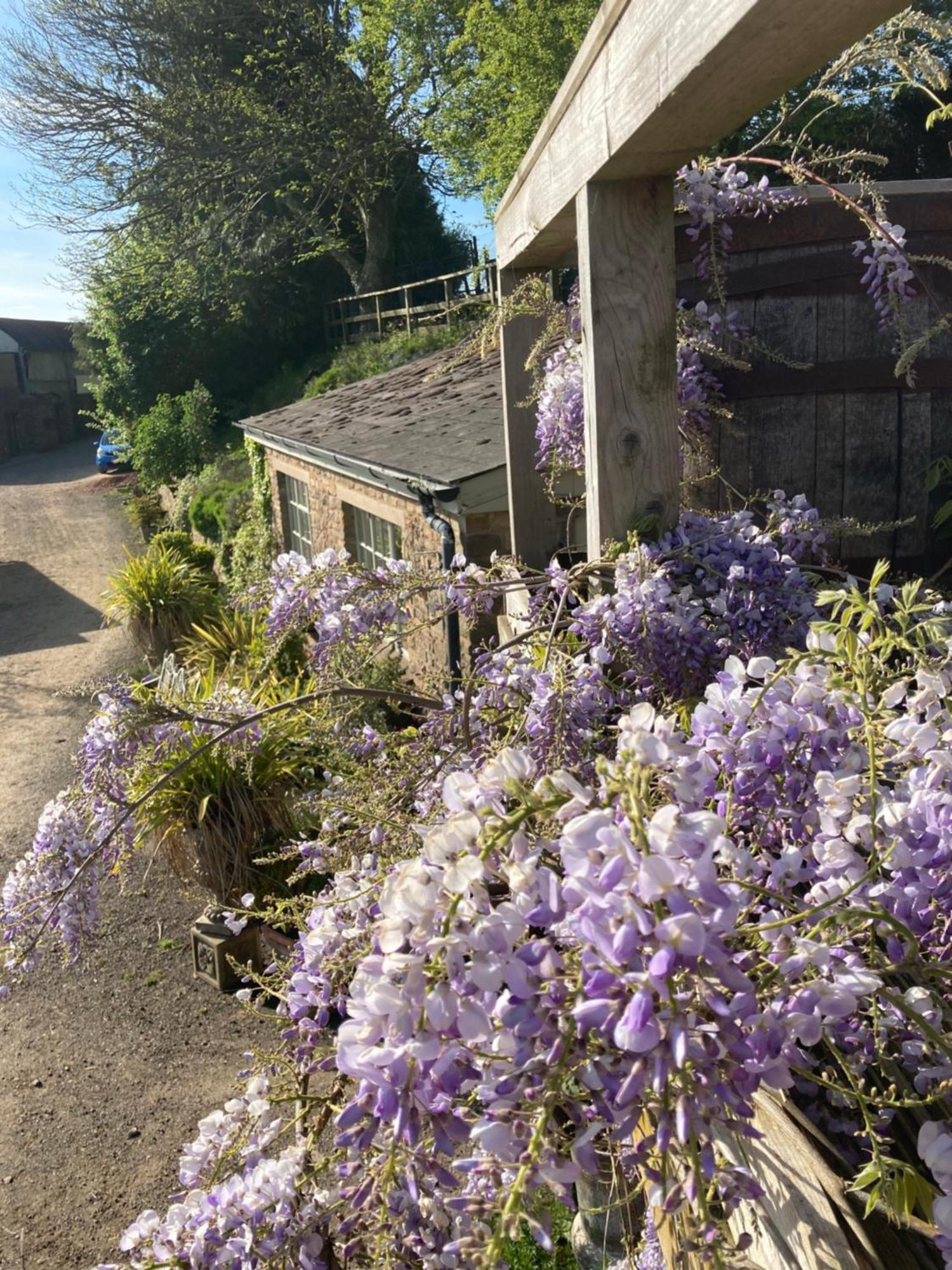 Lavender Cottage Γκλόστερ Εξωτερικό φωτογραφία